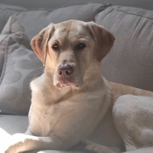 Meet your Posher, Bethany